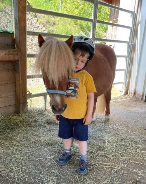 Mini Pony Schule