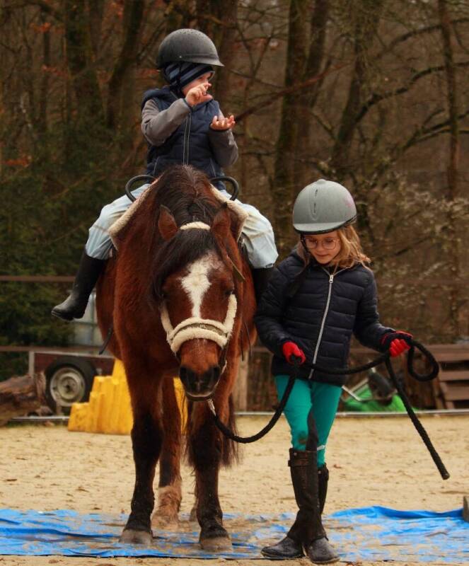 Maxi Pony Schule