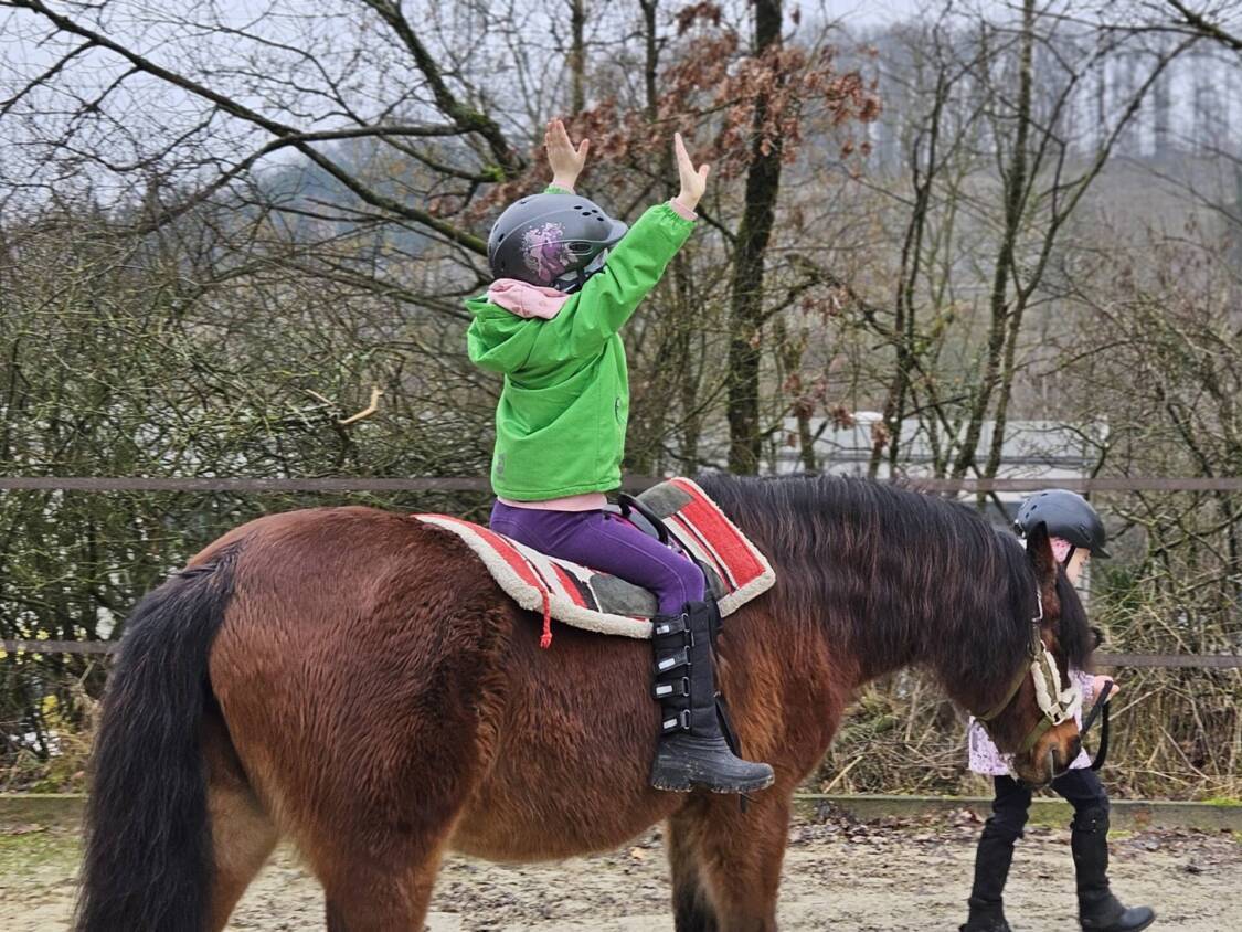 Wöchentliche Kurse Reit- und Ponyversteher