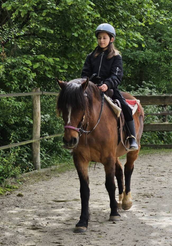 Maxi + Pony Schule